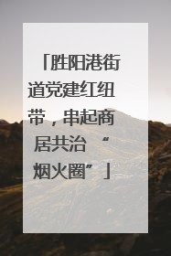 胜阳港街道党建红纽带，串起商居共治 “烟火圈”