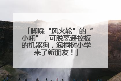 脚踩“风火轮”的“小吒”，可脱离遥控板的机器狗，泡桐树小学来了新朋友！