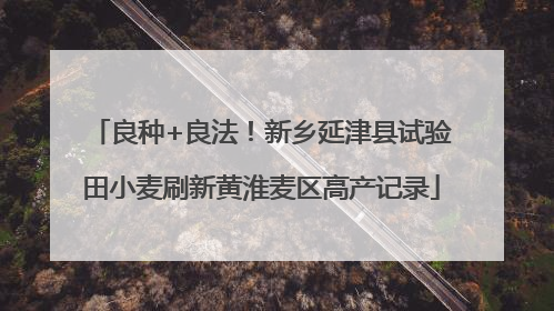 良种+良法！新乡延津县试验田小麦刷新黄淮麦区高产记录