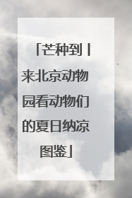 芒种到丨来北京动物园看动物们的夏日纳凉图鉴