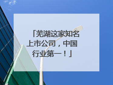 芜湖这家知名上市公司，中国行业第一！