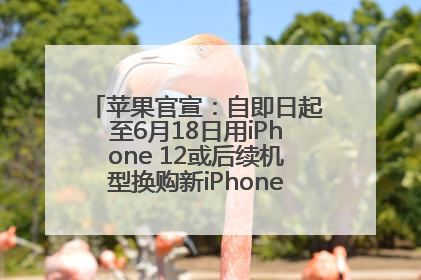 苹果官宣：自即日起至6月18日用iPhone 12或后续机型换购新iPhone，可享额外折抵优惠