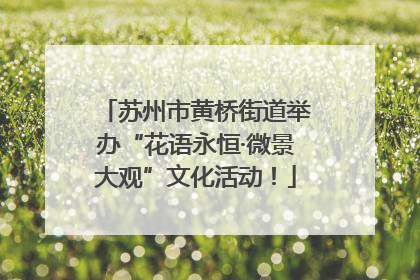 苏州市黄桥街道举办“花语永恒·微景大观”文化活动！