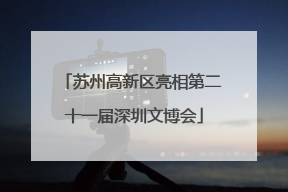苏州高新区亮相第二十一届深圳文博会