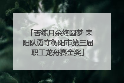 苦练月余终圆梦 耒阳队勇夺衡阳市第三届职工龙舟赛金奖