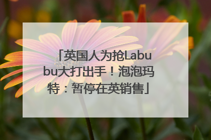 英国人为抢Labubu大打出手！泡泡玛特：暂停在英销售