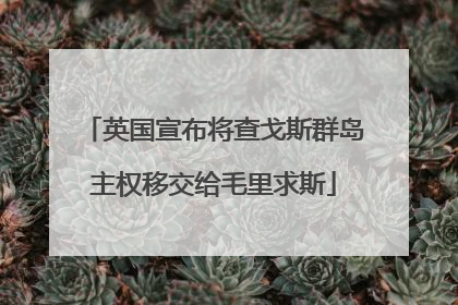 英国宣布将查戈斯群岛主权移交给毛里求斯