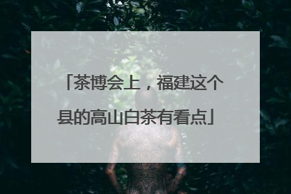 茶博会上，福建这个县的高山白茶有看点