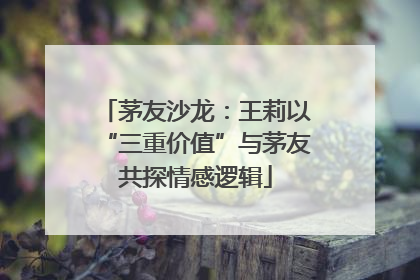 茅友沙龙：王莉以“三重价值”与茅友共探情感逻辑