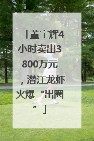 董宇辉4小时卖出3800万元，潜江龙虾火爆“出圈”