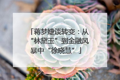 蒋梦婕谈转变：从“林黛玉”到金融风暴中“徐晓慧”