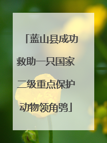 蓝山县成功救助一只国家二级重点保护动物领角鸮