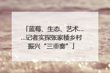 蓝莓、生态、艺术……记者实探张家楼乡村振兴“三重奏”