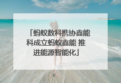 蚂蚁数科携协鑫能科成立蚂蚁鑫能 推进能源智能化