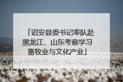 诏安县委书记率队赴黑龙江、山东考察学习畜牧业与文化产业