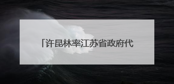许昆林率江苏省政府代表团在柬埔寨考察访问