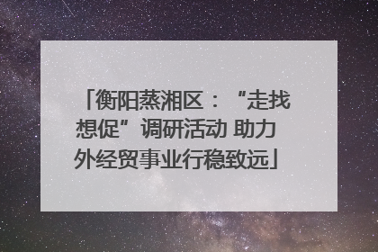 衡阳蒸湘区：“走找想促”调研活动 助力外经贸事业行稳致远