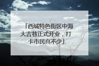 西城特色街区中海大吉巷正式开业，打卡市民真不少