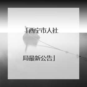 西宁市人社局最新公告