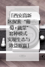 西安高新区探索“葡萄+蔬菜”套种模式 实现生态与效益双赢
