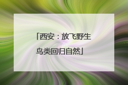 西安：放飞野生鸟类回归自然