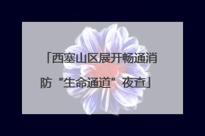 西塞山区展开畅通消防“生命通道”夜查