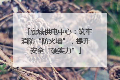 襄城供电中心：筑牢消防“防火墙”，提升安全“硬实力”