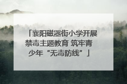 襄阳磁器街小学开展禁毒主题教育 筑牢青少年“无毒防线”
