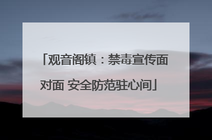 观音阁镇：禁毒宣传面对面 安全防范驻心间