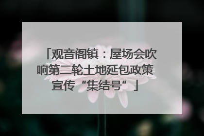 观音阁镇：屋场会吹响第二轮土地延包政策宣传“集结号”