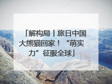 解构局丨旅日中国大熊猫回家！“萌实力”征服全球