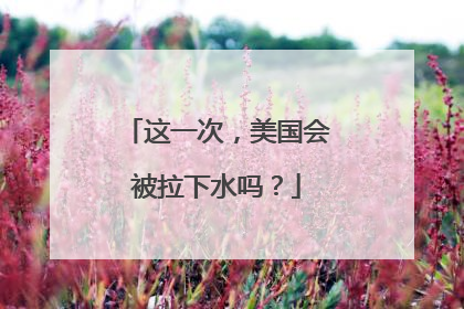 这一次，美国会被拉下水吗？