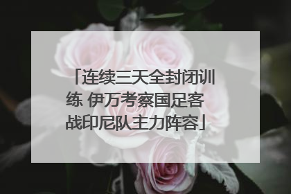 连续三天全封闭训练 伊万考察国足客战印尼队主力阵容