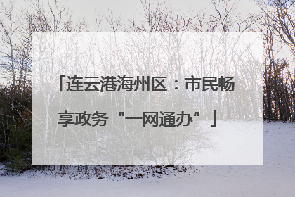 连云港海州区：市民畅享政务“一网通办”