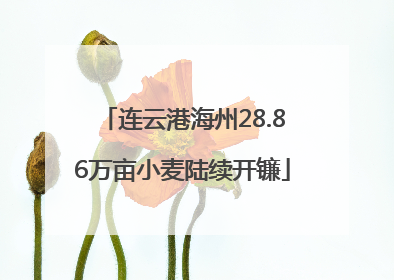 连云港海州28.86万亩小麦陆续开镰