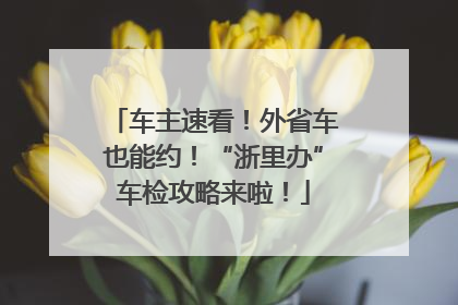 车主速看！外省车也能约！“浙里办”车检攻略来啦！