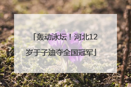 轰动泳坛！河北12岁于子迪夺全国冠军