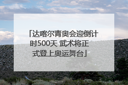 达喀尔青奥会迎倒计时500天 武术将正式登上奥运舞台