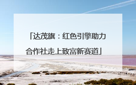 达茂旗：红色引擎助力合作社走上致富新赛道