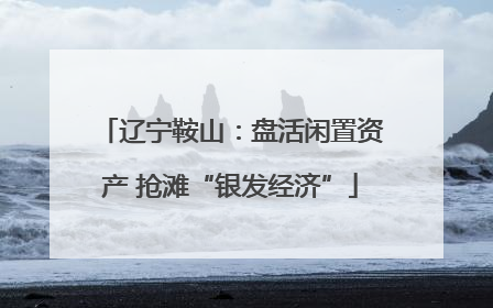 辽宁鞍山：盘活闲置资产 抢滩“银发经济”