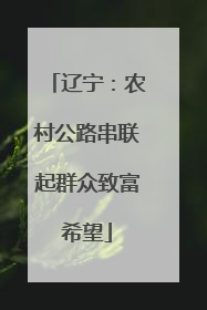 辽宁：农村公路串联起群众致富希望