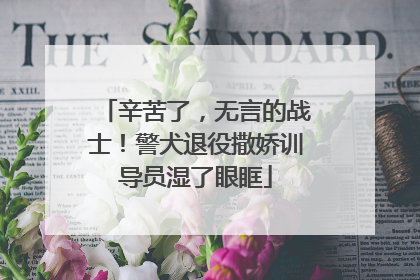 辛苦了，无言的战士！警犬退役撒娇训导员湿了眼眶