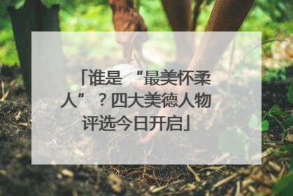 谁是 “最美怀柔人”？四大美德人物评选今日开启