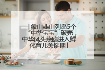 象山韭山列岛5个“中华宝宝”破壳，中华凤头燕鸥进入孵化育儿关键期