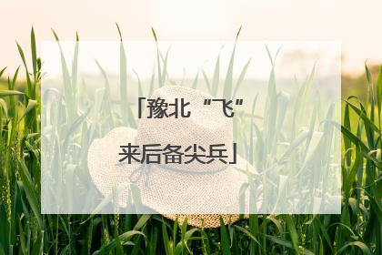 豫北“飞”来后备尖兵