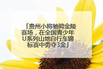 贵州小将驰骋金陵赛场，在全国青少年U系列山地自行车锦标赛中勇夺3金