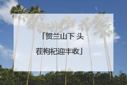 贺兰山下 头茬枸杞迎丰收