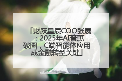财跃星辰COO张展：2025年AI普惠破圈，C端智能体应用成金融转型关键