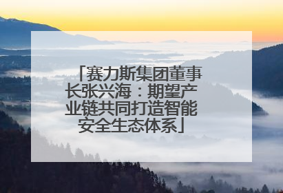 赛力斯集团董事长张兴海：期望产业链共同打造智能安全生态体系