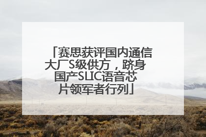 赛思获评国内通信大厂S级供方，跻身国产SLIC语音芯片领军者行列